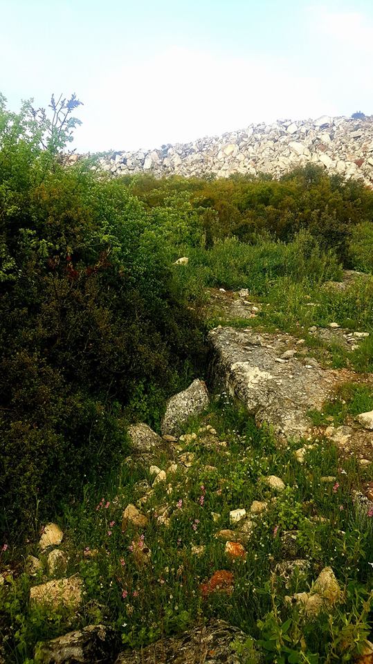 Excursión a las canteras contemporáneas del cerro de las Chozas.
